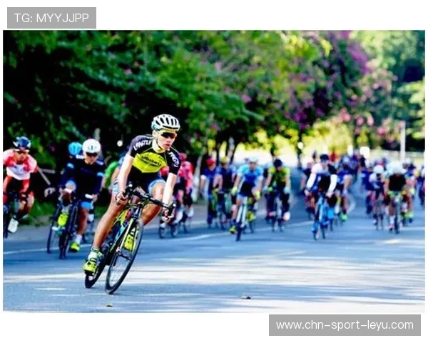 生态骑行观光节,融合自然与运动的创新方式,自然生态骑行小镇