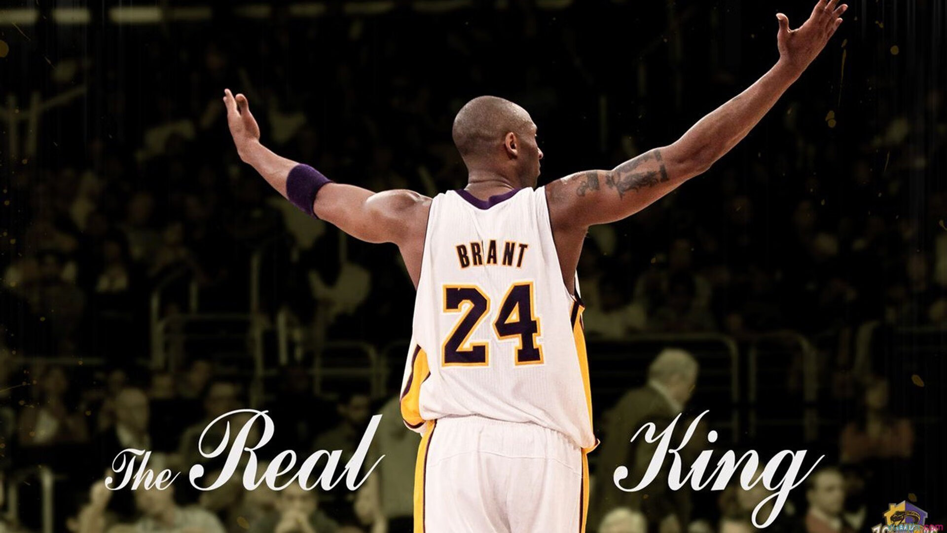 乐鱼体育官网优惠-CBA赛场的中国风潮再度升温，cba赛事分析